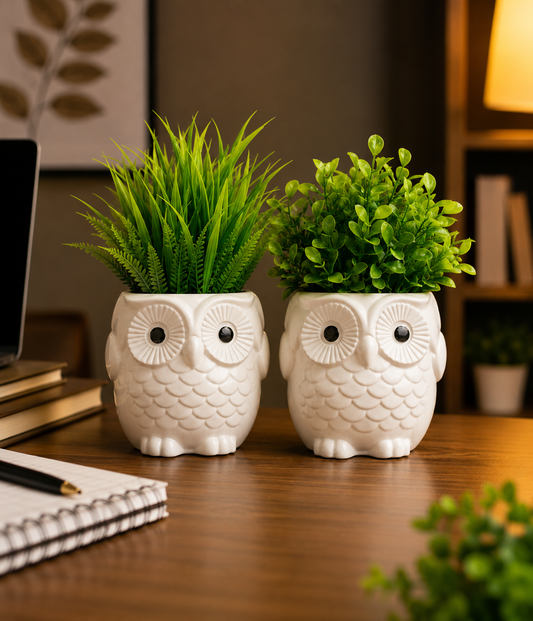 Cute Owl Planter Pot Set